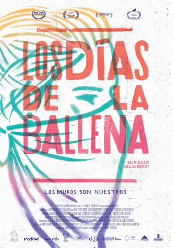 Los días de la ballena海报