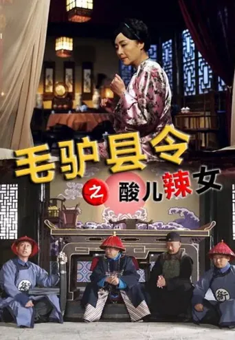 毛驴县令之酸儿辣女海报