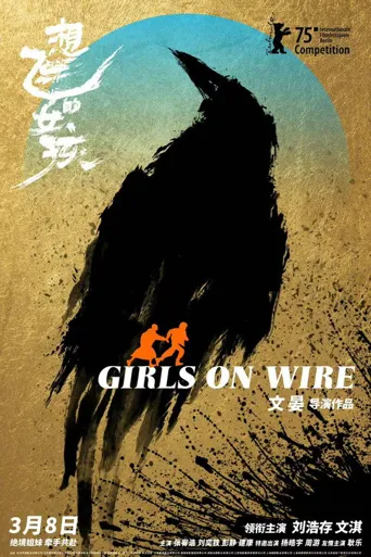 想飞的女孩海报