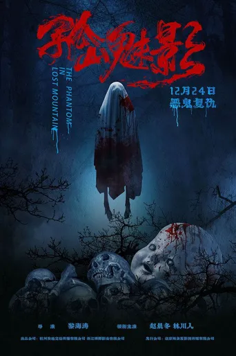 孤山魅影海报