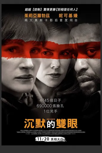 谜一样的双眼海报