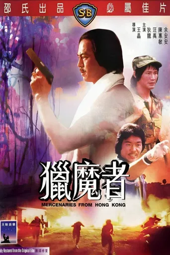 猎魔者海报