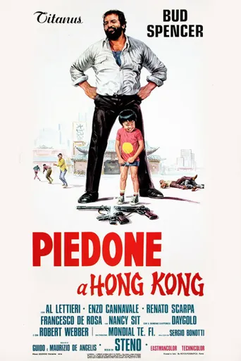 卫兵在香港海报