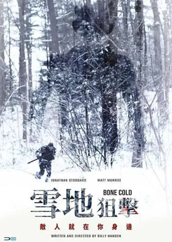 雪地狙击海报