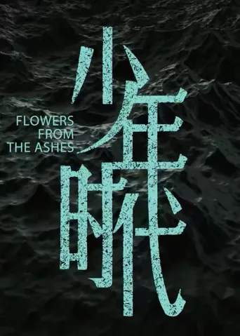 少年时代海报