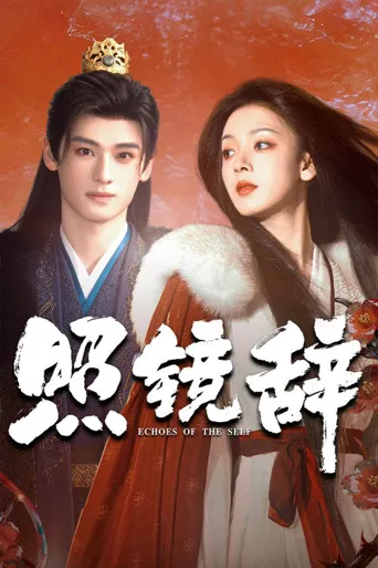 照镜辞海报