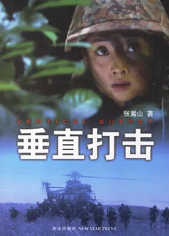 垂直打击海报