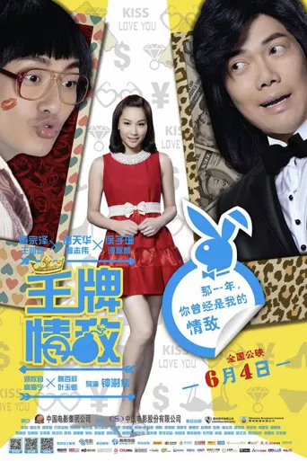 王牌情敌海报