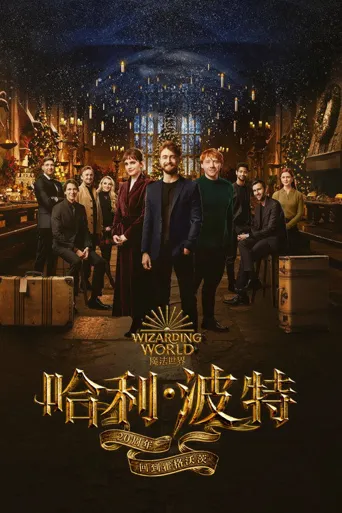 哈利·波特20周年：回到霍格沃茨海报