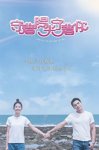 守着阳光守着你海报