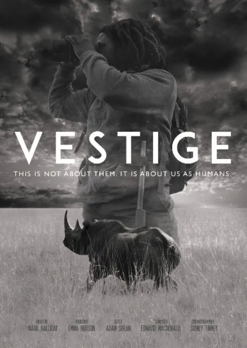 Vestige海报