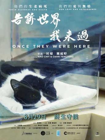 告诉世界我来过海报