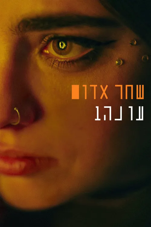 שחר אדום 第 1 季海报