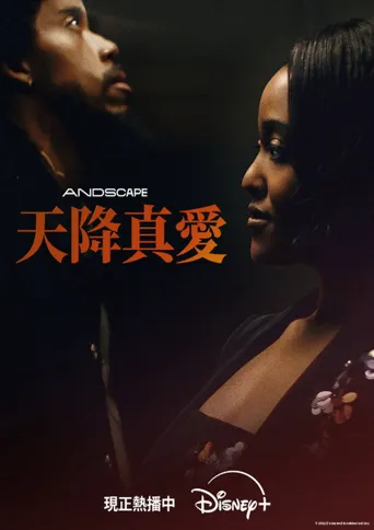 爱情专家海报