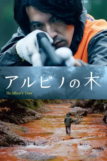 白桦林海报