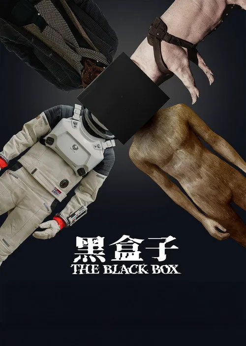 黑盒子海报