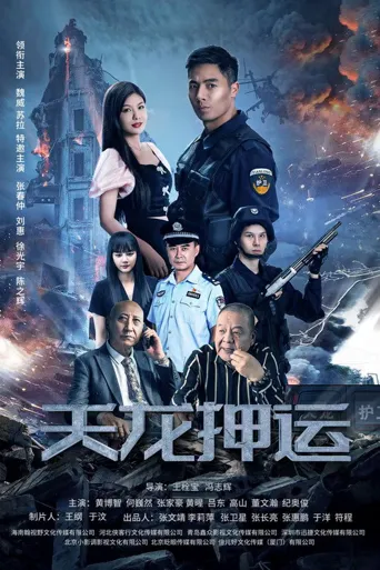 天龙押运海报