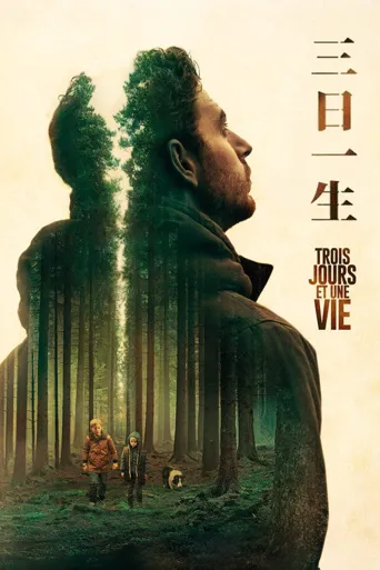 三天一生海报