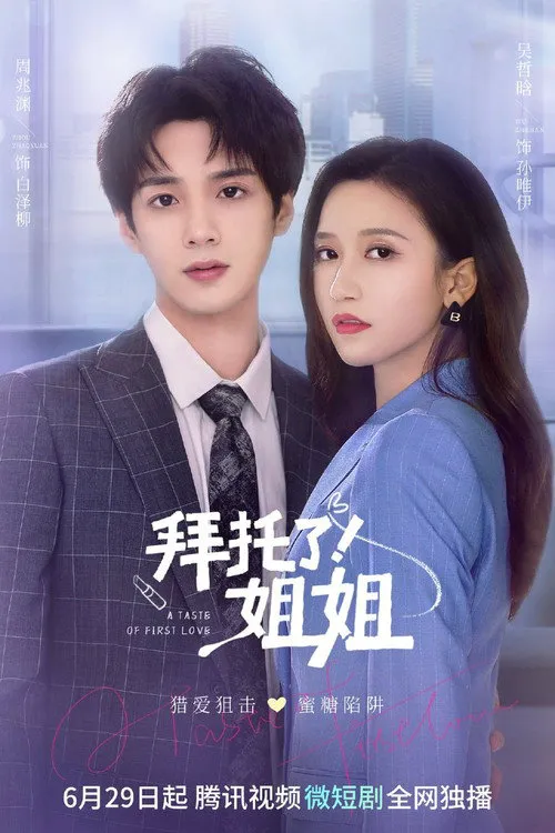 拜托了！姐姐2海报