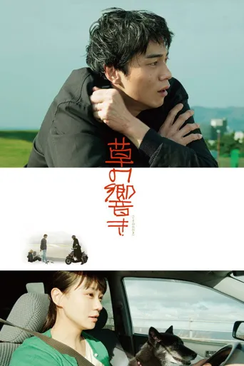 草之韵海报