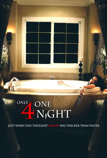 Only for One Night海报