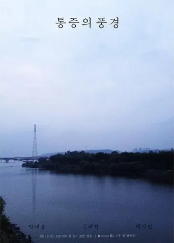 疼痛的风景海报