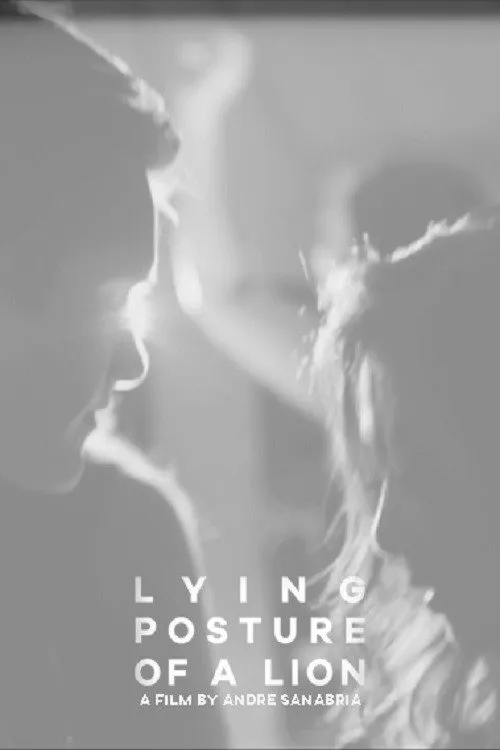 Lying Posture of a Lion海报