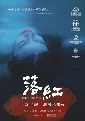 三太太海报