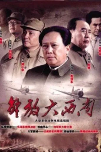 解放大西南海报