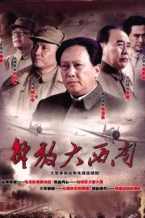 解放大西南海报