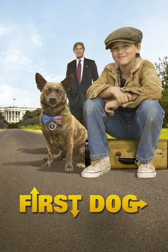 第一爱犬海报