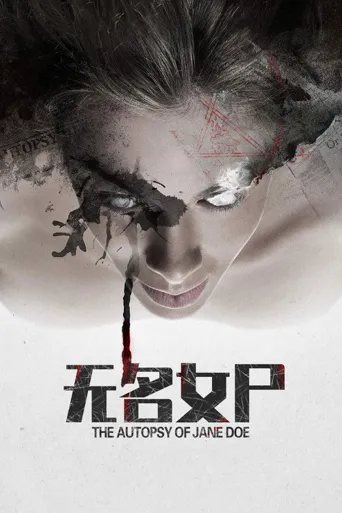 无名女尸海报