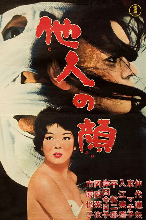 他人之颜海报