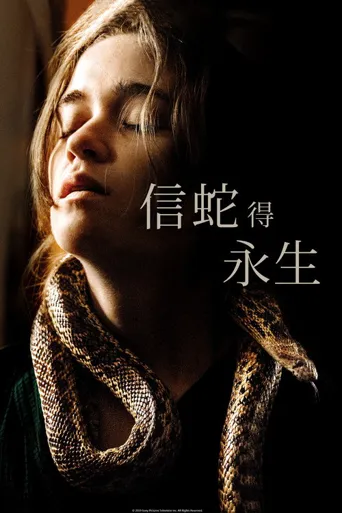 追随者海报