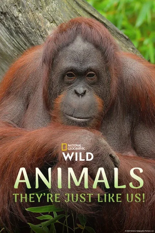 Animals, They're Just Like Us! 第 1 季海报