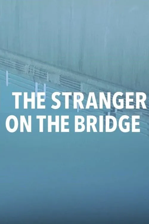 The Stranger On The Bridge海报