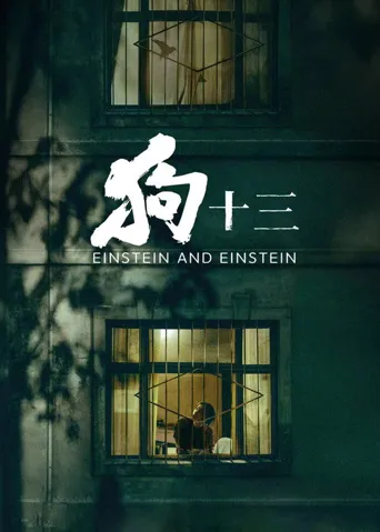 狗十三海报