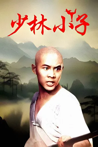 少林小子海报