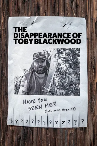 The Disappearance of Toby Blackwood海报