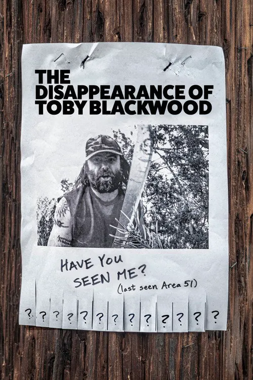 The Disappearance of Toby Blackwood海报