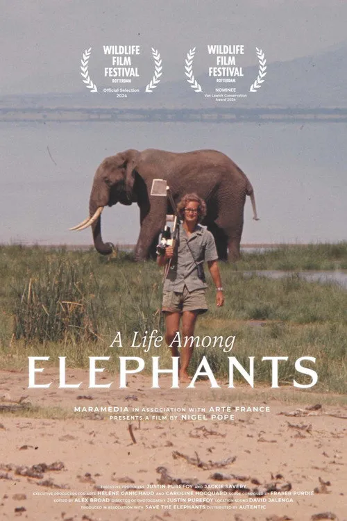 A Life Among Elephants海报