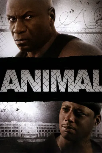 Animal海报