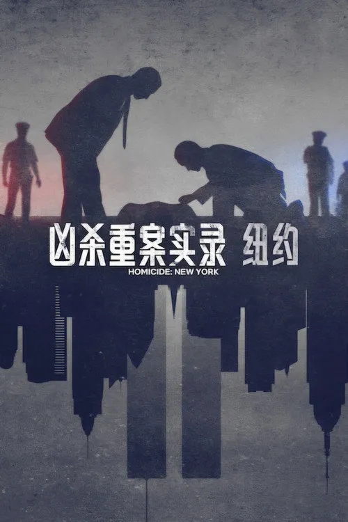 凶杀重案实录：纽约海报