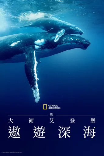大卫·爱登堡：海洋海报