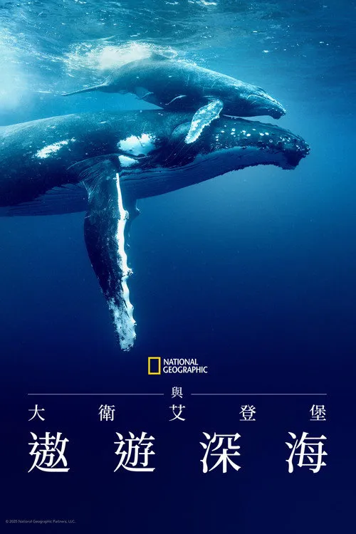大卫·爱登堡：海洋海报