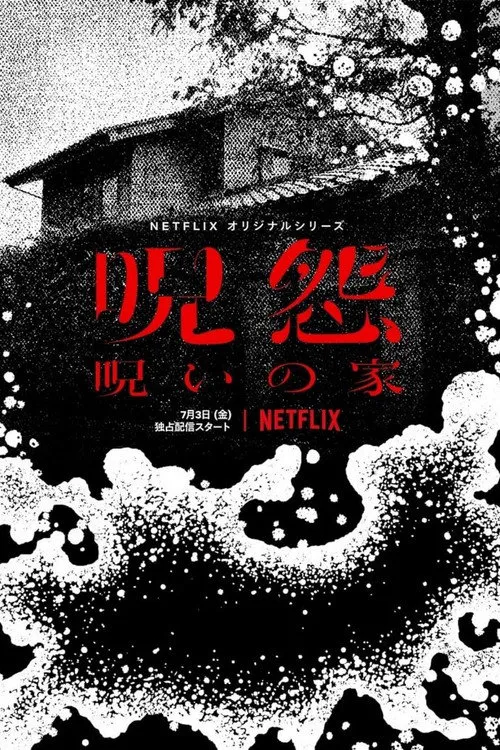 咒怨：诅咒之家海报