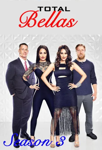 Total Bellas 第 3 季海报