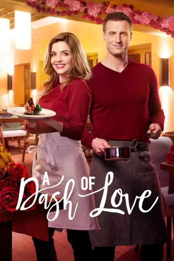 A Dash of Love海报