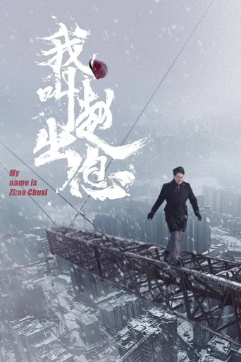 我叫赵出息海报