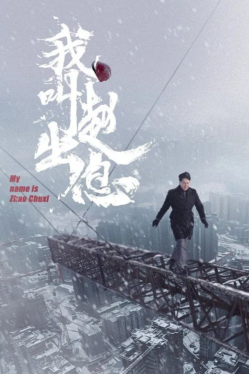 我叫赵出息海报